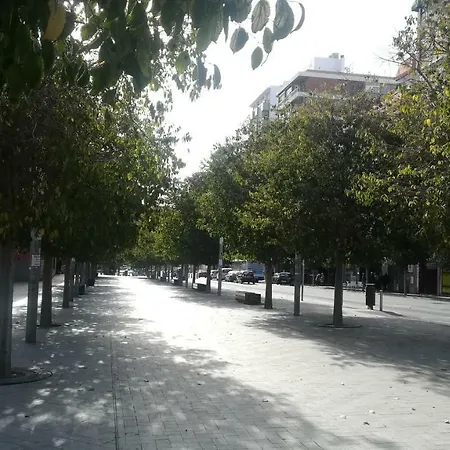 Temporary Tm Alicante